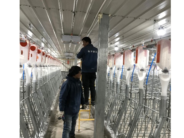 養(yǎng)豬場視頻監(jiān)控系統(tǒng)安裝，從布線到安裝需要的就是嚴謹